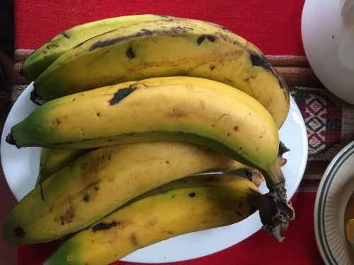 Pachakusi Hostel image 45